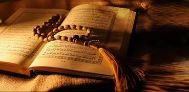 Listen and Learn Quran