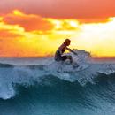 Surfing Fans APK