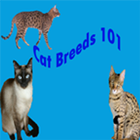 Cat Breeds 101 icône