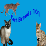 Cat Breeds 101 simgesi