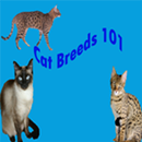 Cat Breeds 101 aplikacja