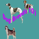 Dog Breeds 101 أيقونة