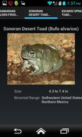 Frogs And Toads 101 Ekran Görüntüsü 1