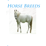 Horse Breeds