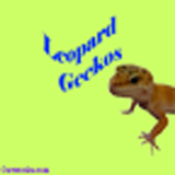 Leopard Geckos simgesi