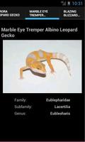 Leopard Geckos screenshot 3