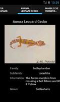 Leopard Geckos screenshot 2
