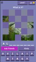 Guess the Image Game: For Free plakat
