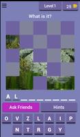 Guess the Image Game: For Free Plakat