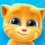 Konuşan Ginger APK