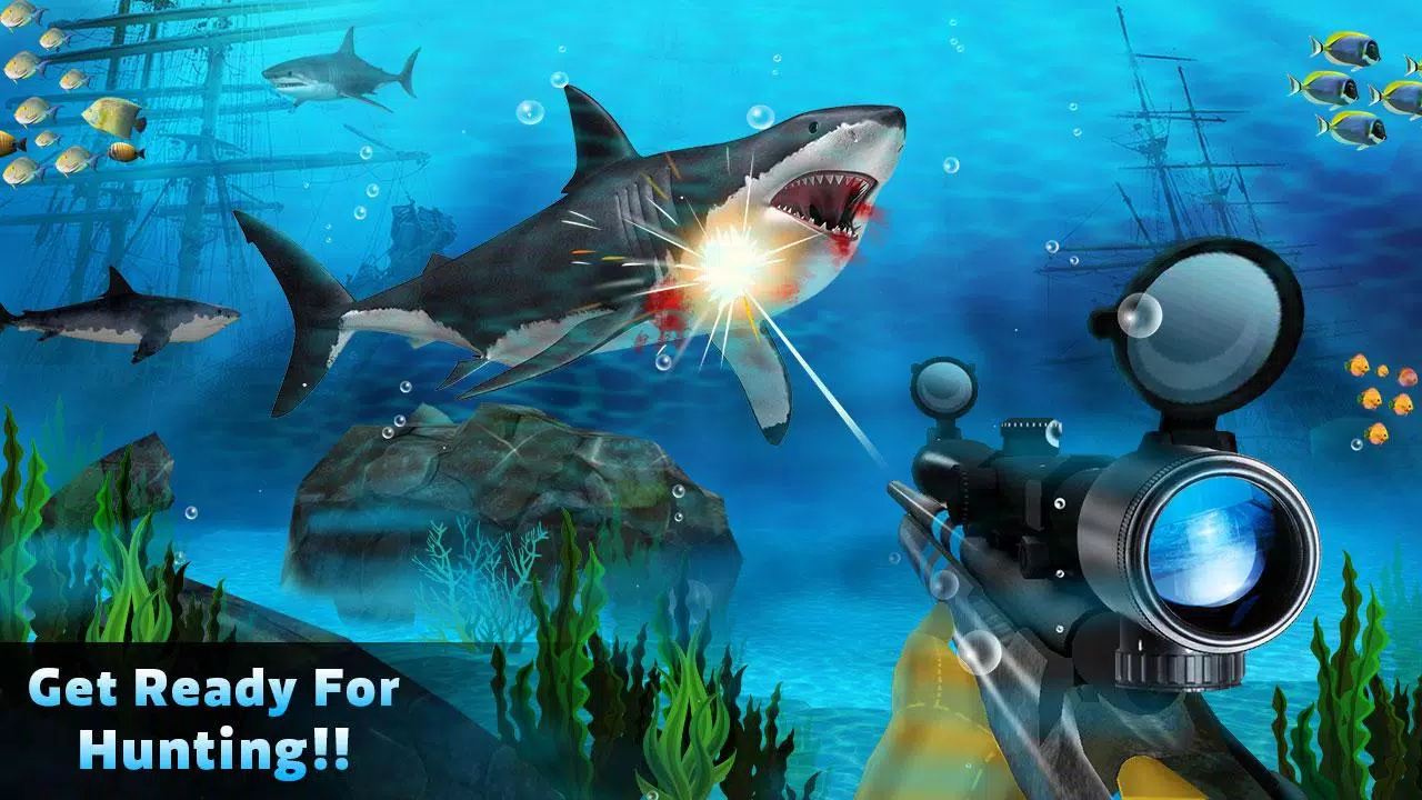 Shark Hunt - Apps on Google Play