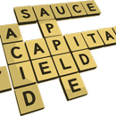 My findwords Game APK