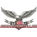 Anatolian Eagles 3D APK