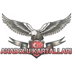 Anadolu Kartalları 3D simgesi