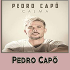 Calma Remix -Pedro Capó, Farruko-icoon