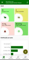 OvinoPro: Confinamento Poster