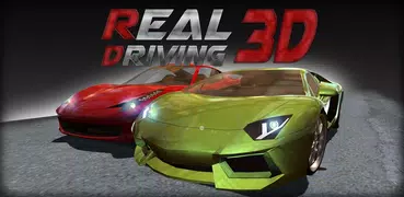 Real Driving 3D