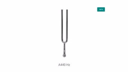 Скачать Камертон XAPK