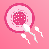 Ovulation Tracker & Calculator icône