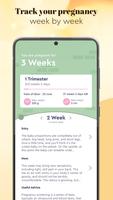 Pregnancy Tracker poster