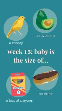 Ovia Pregnancy 截图 6