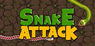 Schlange Attacke