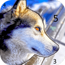Magic Color | Paint by Number APK