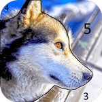 Magic Color icon