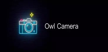 Owl Camera
