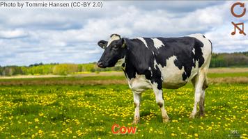 Domestic animals for kids capture d'écran 2