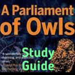 Parliament of Owls-Guide