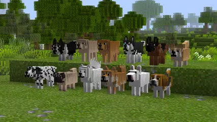 Animals for Minecraft APK download