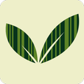 Vegan Vegetarian Food Scanner