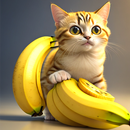 Banana Series : Cat Meme 3D APK