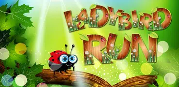 Ladybird Run ( テントウムシ)