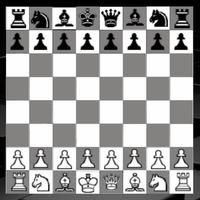 King Chess Game تصوير الشاشة 3