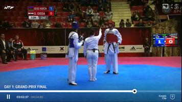 World Taekwondo plakat