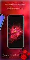Wallpapers -  Cute & Backgroun screenshot 2