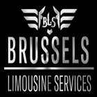 Brussels Limousine Services ไอคอน
