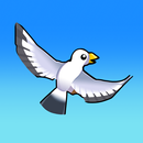 Falconer Life APK