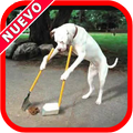 Imagenes Chistosas para Descargar