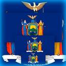 New York State Full Info APK