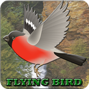 Adventure Flying Bird with Small Wings aplikacja