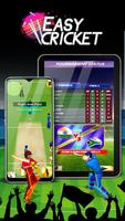 Easy Cricket: Challenge poster