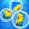 Bubblepics - Pop Jigsaw Puzzle APK