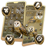 ikon Owl Theme Launcher
