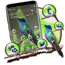 Violetear Hummingbird Theme APK