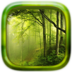 Picture Puzzle: Forest APK