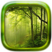 Hutan ubin Teka-teki