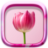 hoa câu đố biểu tượng